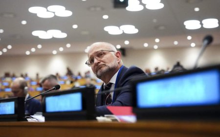 Canada pushing for safety, equity in AI, UN ambassador says