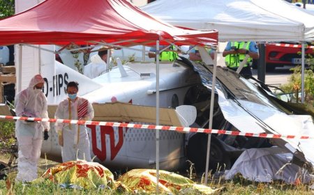 Families watch in horror as skydiving plane crashes in France, killing all 11 aboard
