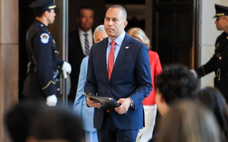 Jeffries' socialism dilemma: New York victories expose Democratic Party divide