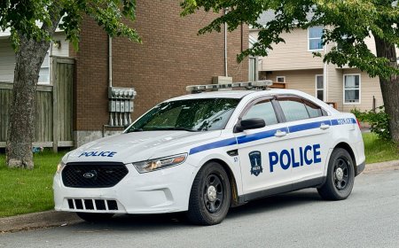 Neighbours shaken after fatal Dartmouth shooting, victim identified