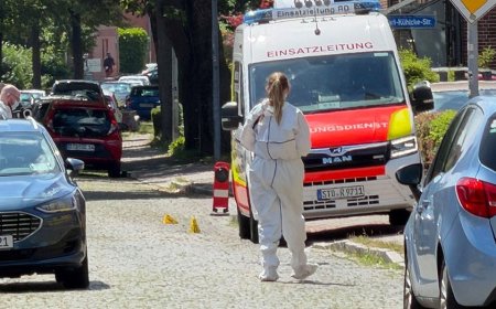 Gunman kills 6 at youth welfare facility in suspected child custody dispute: reports