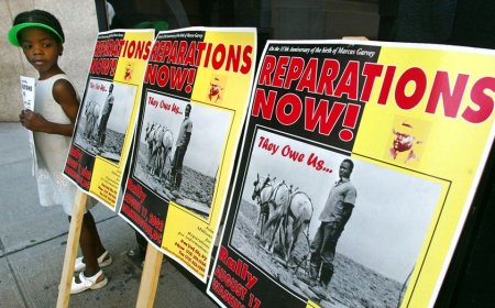 Far-left group calls out New York officials for taking too long to issue reparations as 'disservice' to Blacks