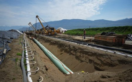 Alberta to detail ‘million-barrel-per-day’ pipeline to West Coast Thursday
