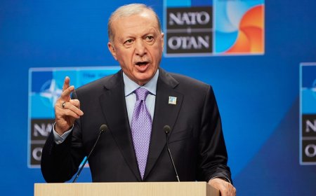 Trump's Turkey arms sale proposal sparks congressional questions before NATO summit