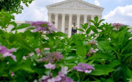 Constitutional privacy rules apply to phone location info: Supreme Court