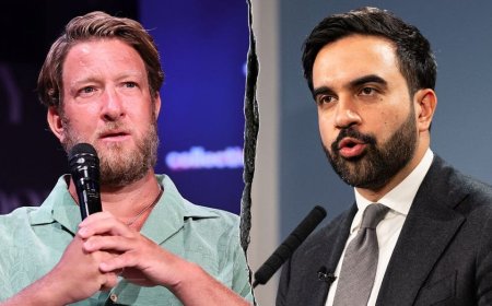 Dave Portnoy left 'stunned' by NYC socialist victories, says the American Dream is under siege