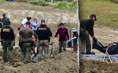117 dead dogs found at animal rescue, many with gunshot wounds as investigators probe for answers