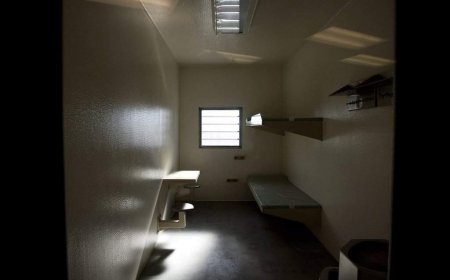 Ontario jail guards appeal for help after report reveals suicide crisis