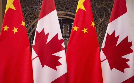 China slaps 73.5% preliminary tariff on pea starch from Canada