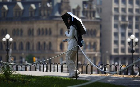 What Canada’s colour-coded heat warnings mean as temperatures soar