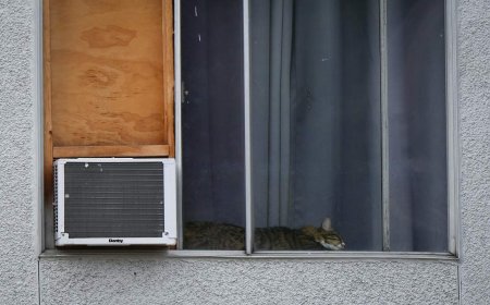 Renting in a heat wave? What landlords owe tenants in extreme temperatures