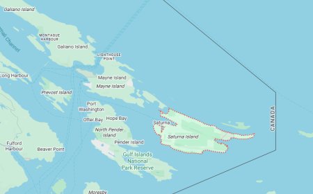 5 people rescued after their vessel hits a reef, sinks near Saturna Island