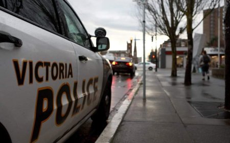 2 men arrested in connection with ‘violent’ sexual assault in Victoria