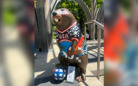 U.S.-inspired World Cup beaver statue in Toronto destroyed, police investigating