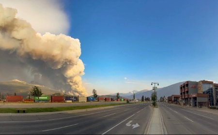 Ottawa giving Jasper an additional $520 million for wildfire recovery