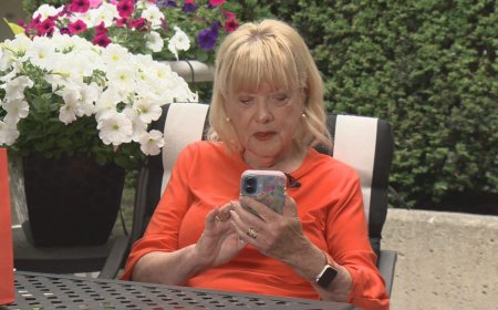 Vancouver woman fights Rogers and FedEx over missing phone