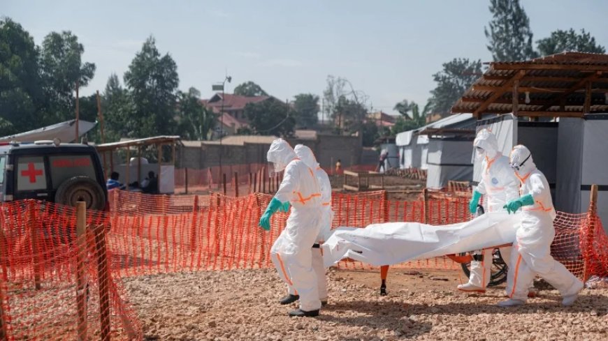 African Ebola Cases Surge nearly 40% in a Week, Hundreds Dead