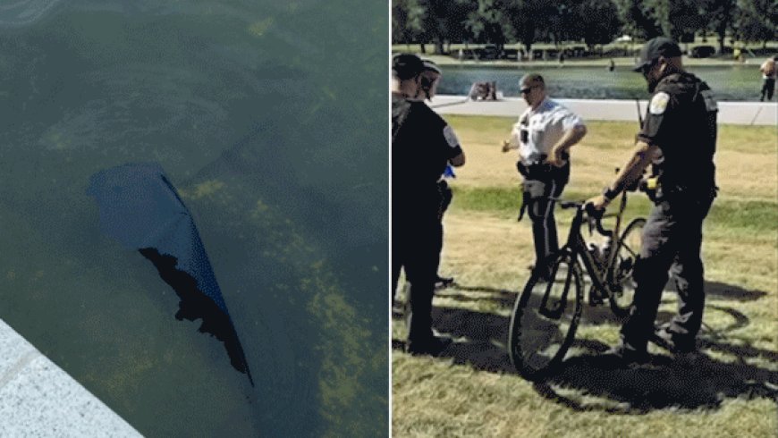 Former Olympian among those charged with vandalizing Reflecting Pool; Trump says basin must be drained