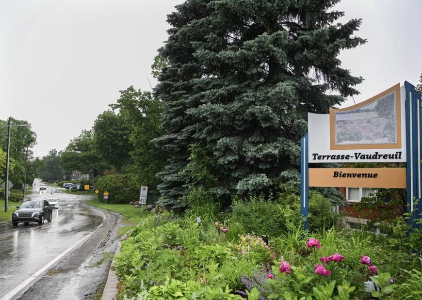 Quebec town recognizes the rights of trees