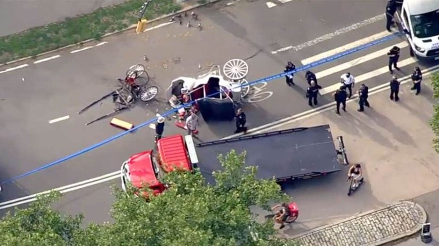 Vigil planned for 18-year-old tourist killed in Central Park horse-drawn carriage incident
