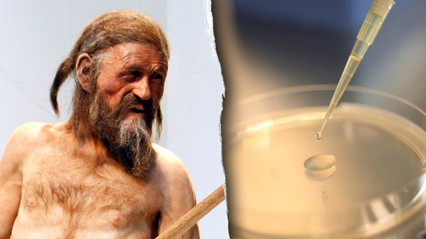 Scientists find 'signs of life' inside 5,300-year-old mummy in remarkable discovery