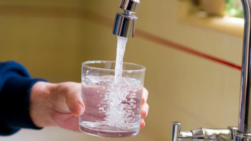 Study: Harmful “Forever Chemicals” in Blood of Almost Every Single American