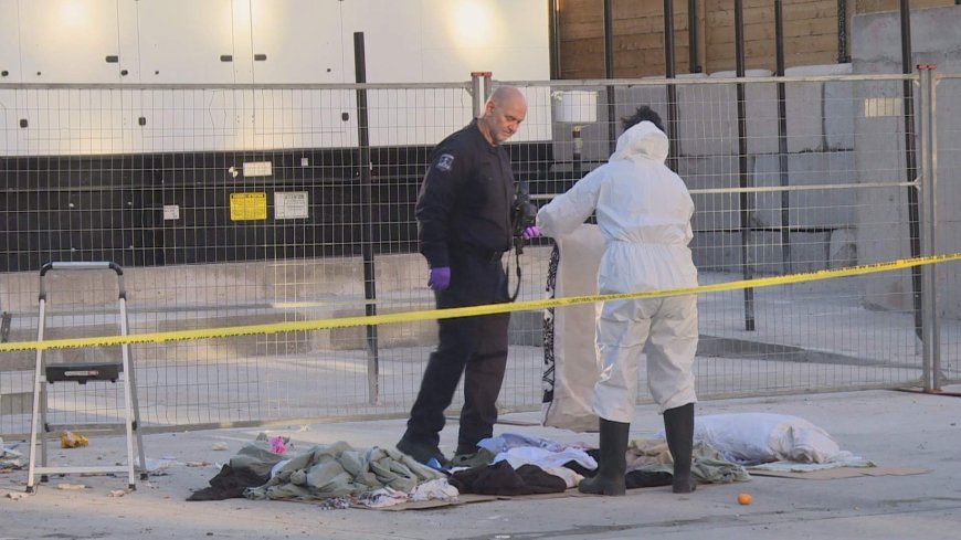 Defence awaits autopsy results in Halifax newborn death case