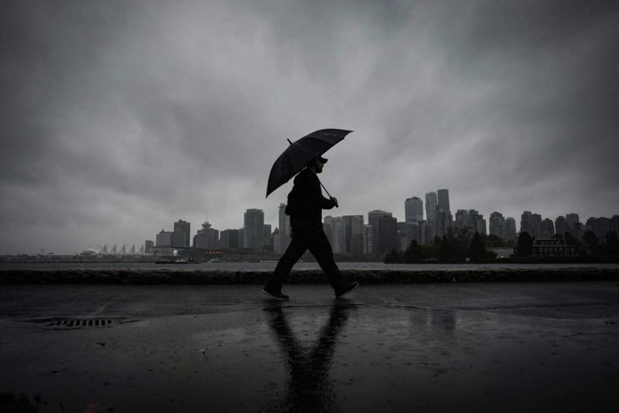 A soggy June could mean mosquitoes ‘plaguing’ many Canadians, experts say