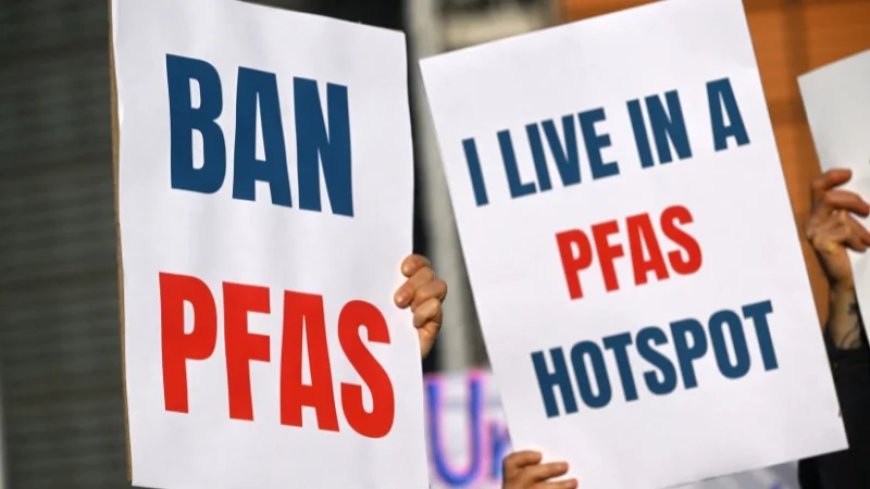 Everybody Chemicals: PFAS Chemicals Are in the Bodies of Every Single America—Here’s What That Means