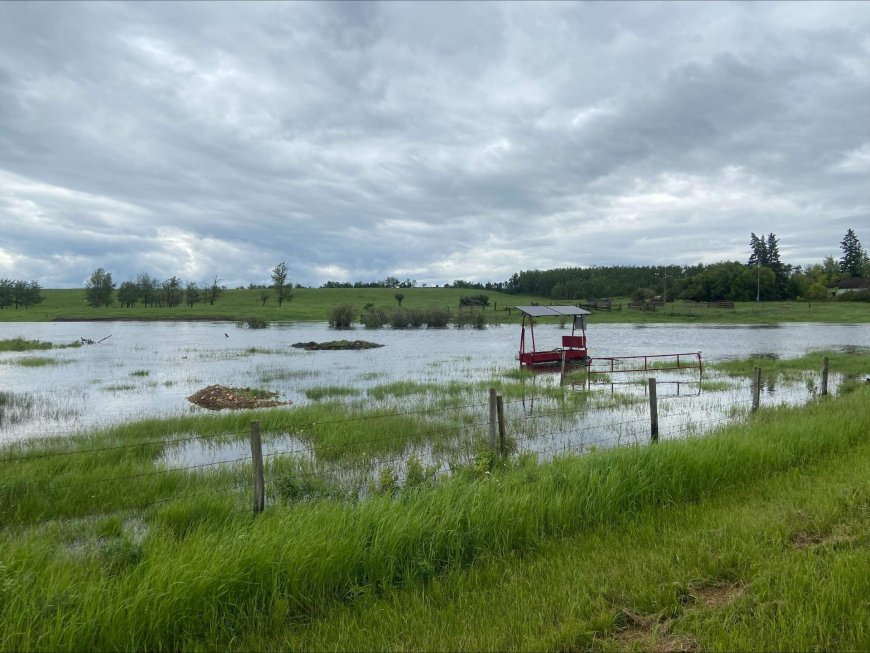 Flooded Alberta farmland raises concerns about crop losses
