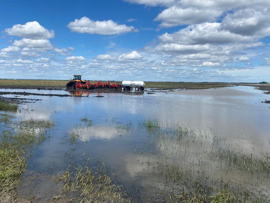 Some Manitoba farmers attempt reseeding after storm damage