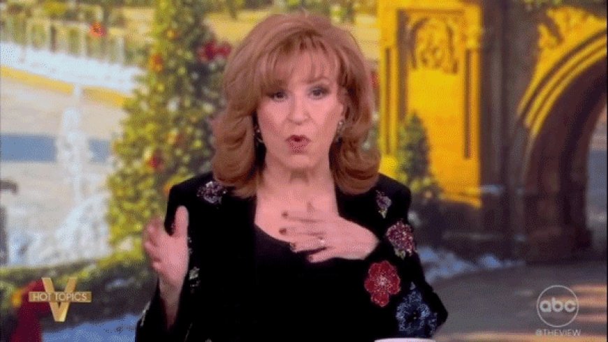 Conservative watchdog tells FCC that 'The View' is a Democratic Party operation, not a news program