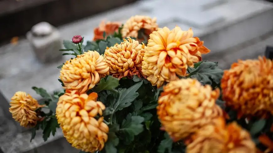 What scammers do the week your spouse dies