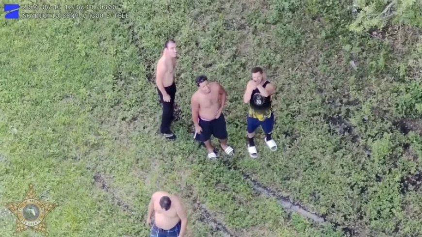 Florida Man Arrested, Charged After Firing BB Gun at Drone Flying Overhead