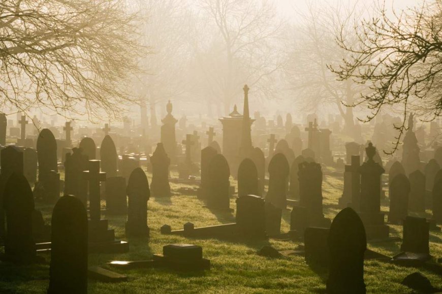 Man arrested in Hungary for collecting human body parts from cemeteries