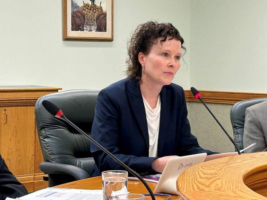Poor planning, budgeting issues identified as flaws in SPSA by provincial auditor