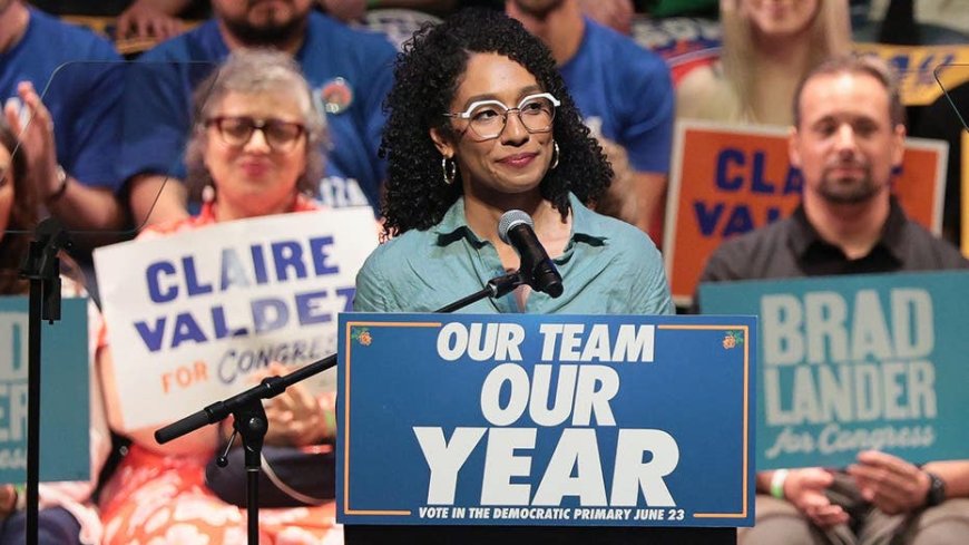 Democratic strategist calls socialist candidates 'parasites' who could 'set the party back decades'