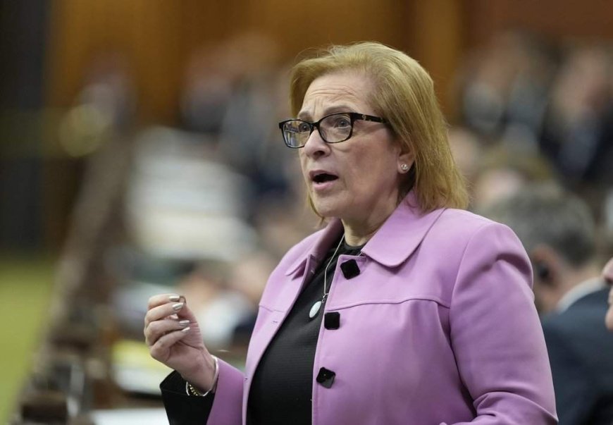 ‘Something’ led to ‘lost Canadian’ citizenship recalls, minister says
