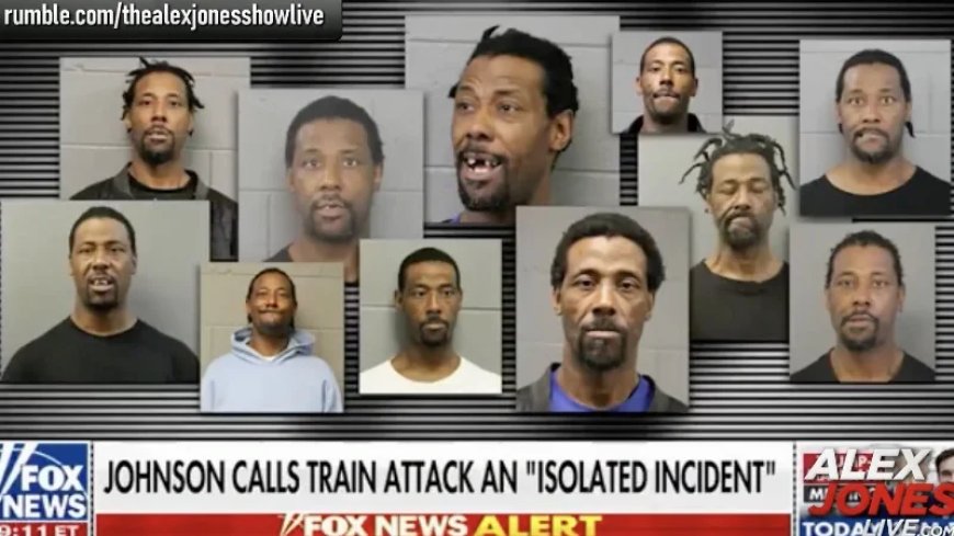 Update On Psychotic Lunatic Who Poured Gasoline On A Woman On A Chicago Train & Set Her On Fire!