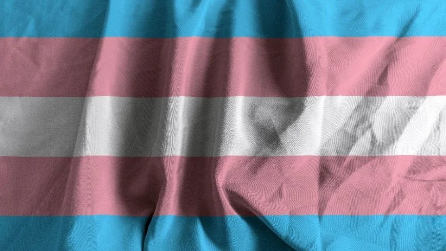 Girl Accused Of Murdering Parents Identified As ‘Transgender’ Boy: Report