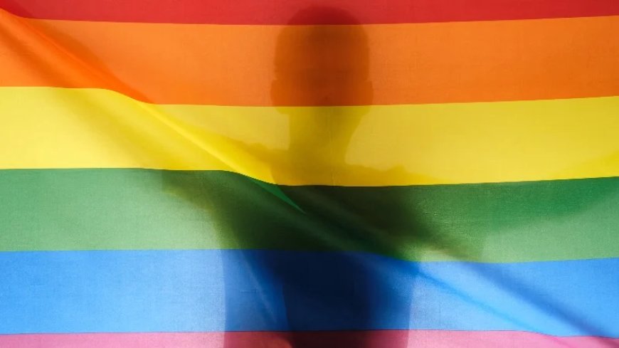 Brazilian Couple Sentenced To 50 Days In Jail For Homeschooling Without Gender Brainwashing Propaganda