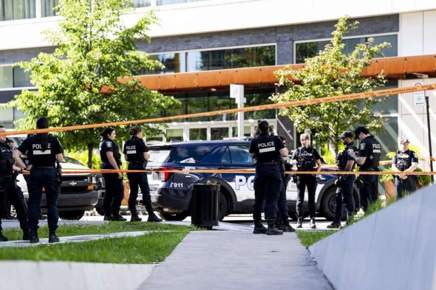 Policing safer now than in previous decades despite recent officer deaths: expert
