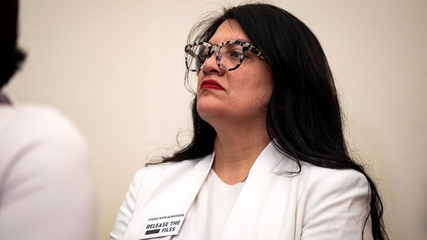 Tlaib defends antifa members convicted in shooting of Texas cop, calls sentences a 'travesty'