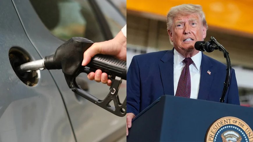 ‘Customers Are Being Gouged’: Trump Tells DOJ To Look Into Gasoline Prices
