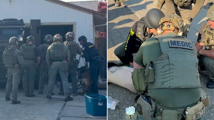 California deputies use magnet-equipped drone to disarm knife-wielding sex offender hidden in garage