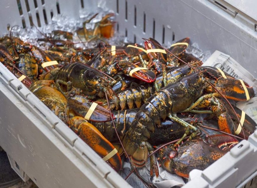 Nova Scotia launches three-year plan to expand its $2.2-billion seafood industry