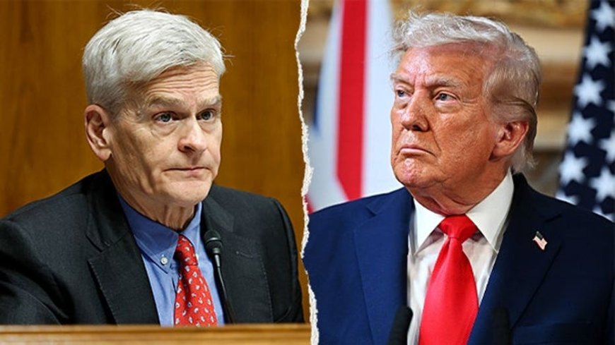 ‘He named names’: Trump’s Senate meeting explodes into shouting match over Iran