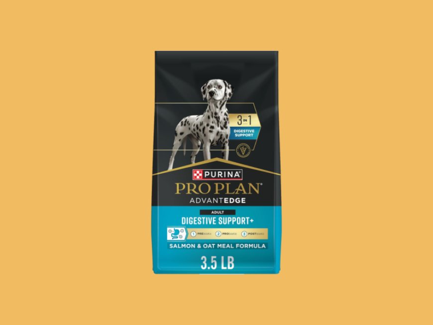 The Curator: Amazon Prime Day pet picks you don’t want to miss