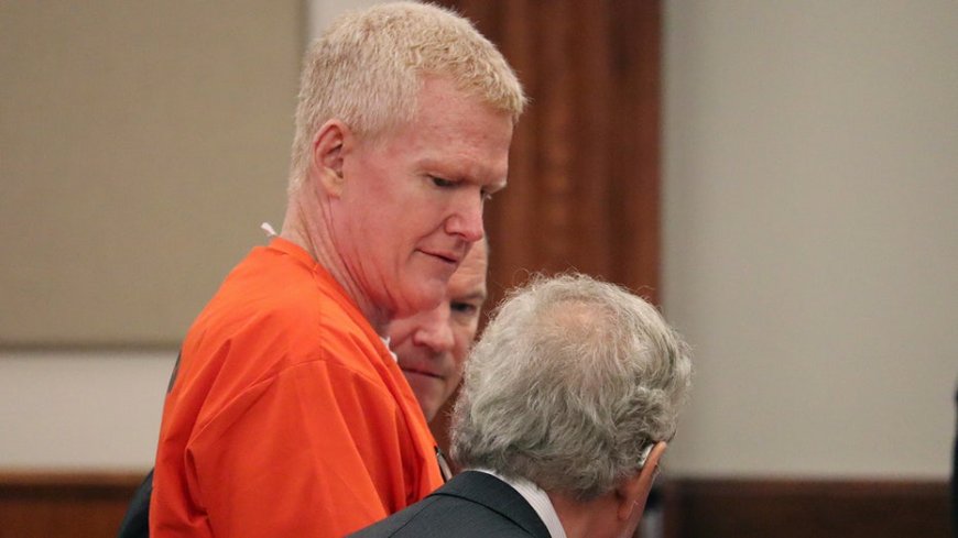 Alex Murdaugh defense points to unknown male DNA in push for new testing