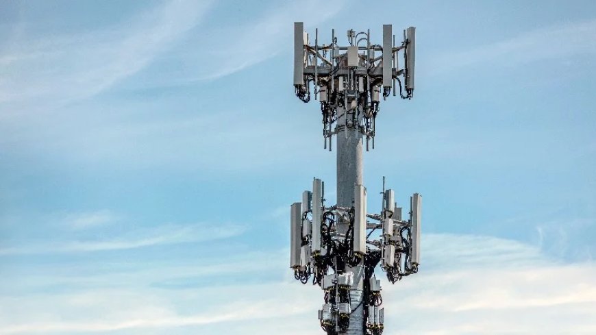 Verizon Wants To Install A Cell Tower Near Their Homes, But They’re Fighting Back, With Help From Children’s Health Defense